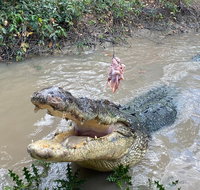 Top End Waterfalls and Wetlands - C Tourism