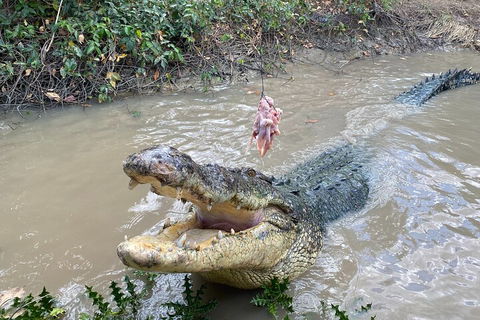 Top End Waterfalls And Wetlands - C Tourism 0