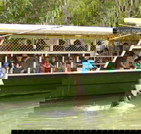Hartley's Crocodile Adventure Half-Day Tour - C Tourism