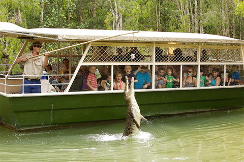 Hartley's Crocodile Adventure Half-Day Tour - C Tourism 0
