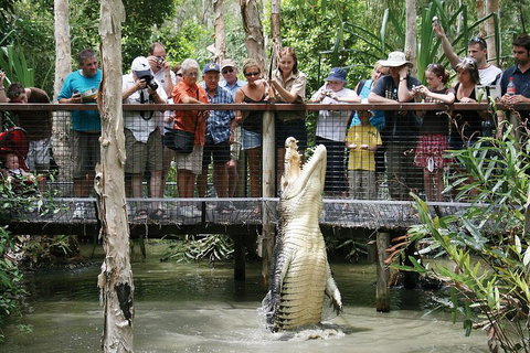Hartley's Crocodile Adventure Half-Day Tour - C Tourism 1