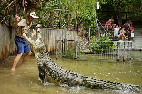 Hartley's Crocodile Adventure Half-Day Tour - C Tourism 2