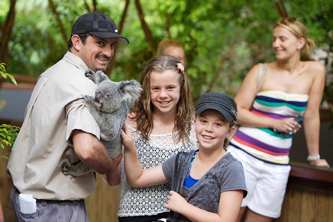 Hartley's Crocodile Adventure Half-Day Tour - C Tourism 3