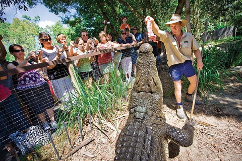 Hartley's Crocodile Adventure Half-Day Tour - C Tourism 4