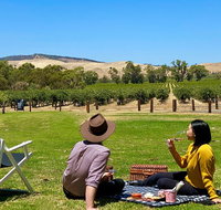 Private Picnic and Wine Tasting Experience in Barossa Valley - C Tourism
