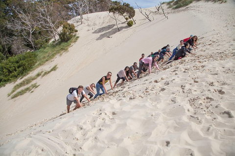3 Day Tasmanian Wild West Coast Tour From Hobart To Launceston - C Tourism 2
