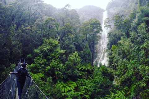 3 Day Tasmanian Wild West Coast Tour From Hobart To Launceston - C Tourism 4