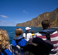 Seal Island Boat Tour from Victor Harbor - C Tourism