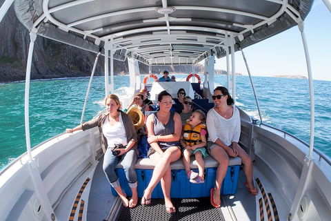 Seal Island Boat Tour From Victor Harbor - C Tourism 1