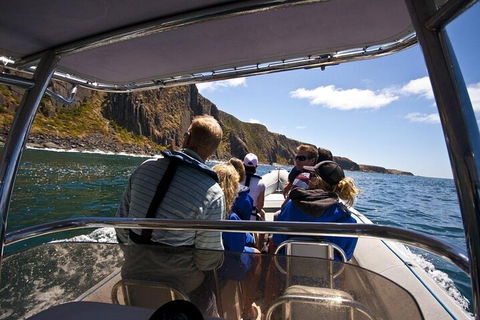 Seal Island Boat Tour From Victor Harbor - C Tourism 2