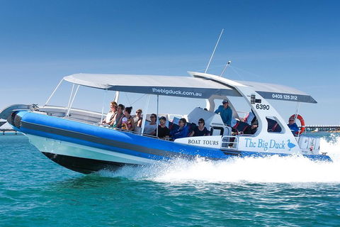 Seal Island Boat Tour From Victor Harbor - C Tourism 3