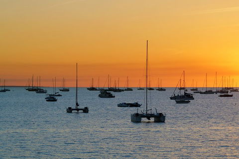 Darwin Shore Excursion: Hop-on Hop-off Bus Tour - C Tourism 0