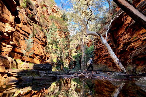 10-Day Adelaide To Perth Adventure Tour - C Tourism 5