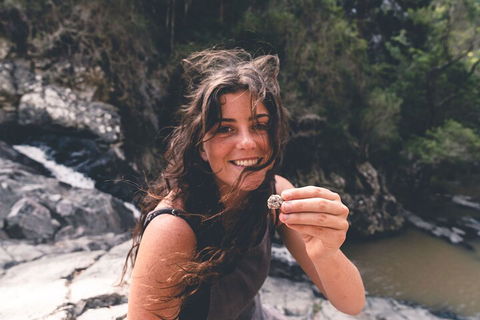 Springbrook AndTamborine Rainforest Tour Incl Natural Bridge And Glow Worm Cave - C Tourism 1