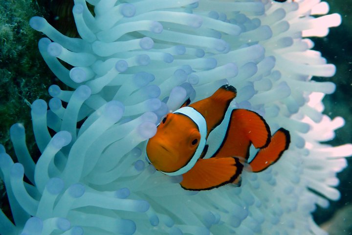  C Tourism