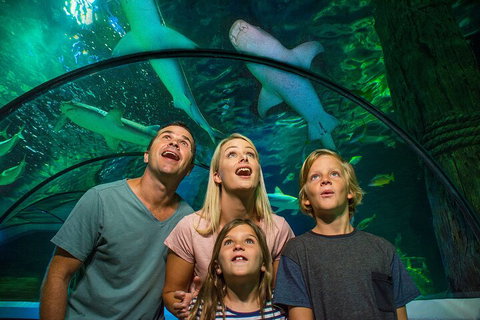 SEA LIFE Sunshine Coast Aquarium Entrance Ticket - C Tourism 3