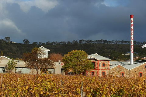 Penfolds Magill Estate Iconic Experience - C Tourism 3