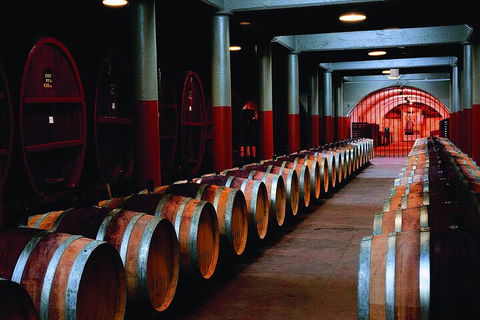 Penfolds Magill Estate Iconic Experience - C Tourism 4