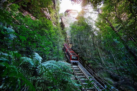 Private Blue Mountains Tour - C Tourism 0