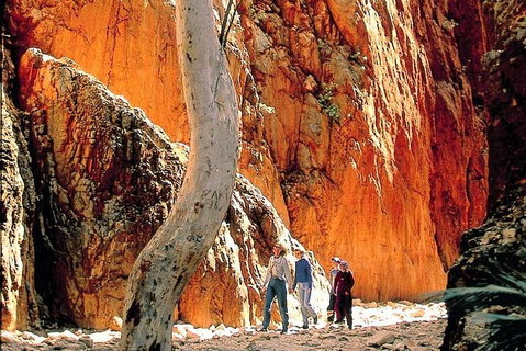 West MacDonnell Ranges Day Trip From Alice Springs - C Tourism 3