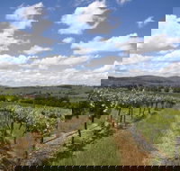 Hunter Valley Wine Tour from Sydney incl Lunch Cheese Chocolate and Distillery - C Tourism