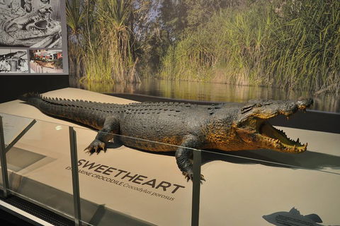 Explore Darwin City Sights Including Key Attractions - C Tourism 2