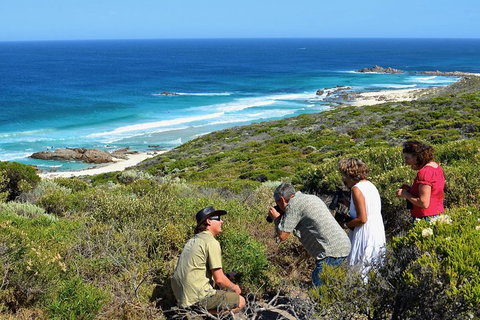 Margaret River Coastal And Wildlife Eco Trip From Busselton Or Dunsborough - C Tourism 2